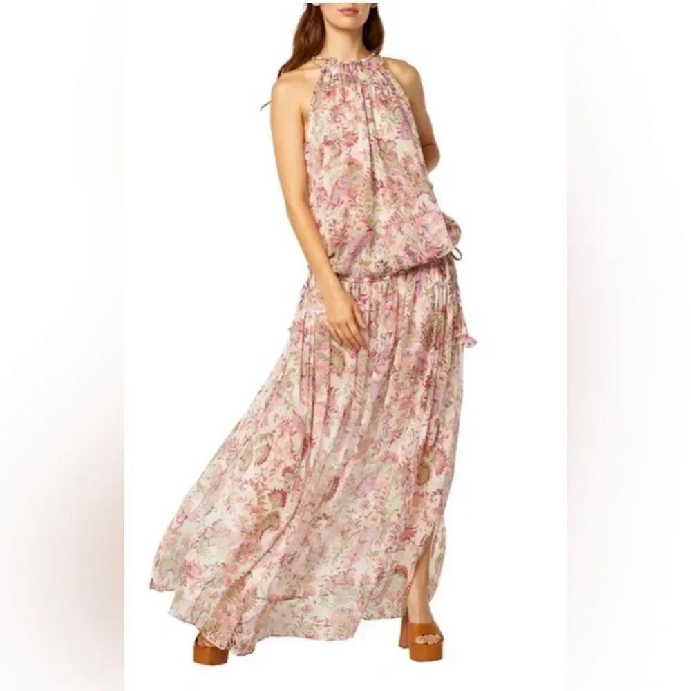 Misa Los Angeles Angelina chiffon maxi dress in sheer floral romantic boho. M/L
